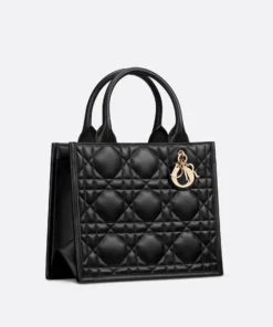 101 Dior master Small Handbag