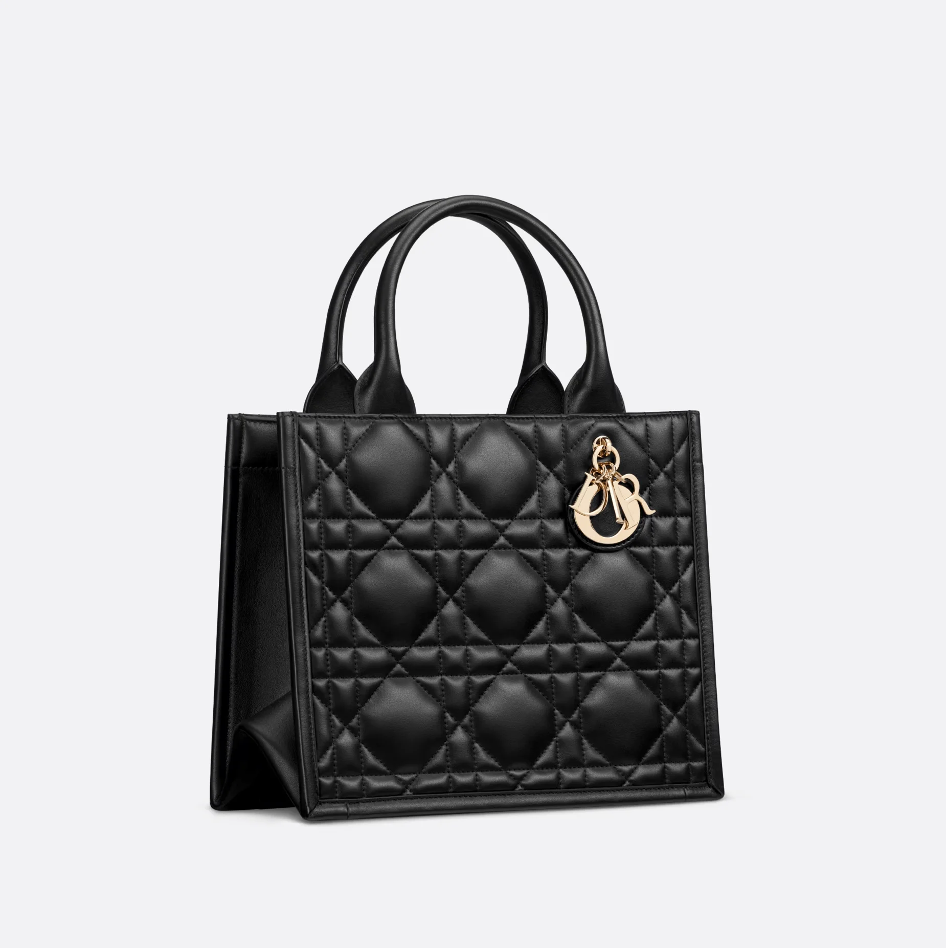 101 Dior master Small Handbag