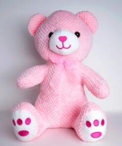 Bear Plush Toy