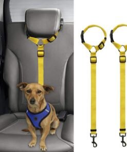 Car Backseat Pet Leash For Stability