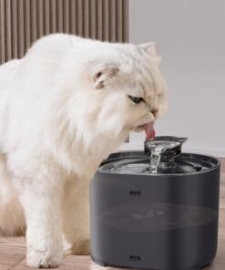 Cat Automatic Water Dispenser Circulation