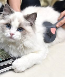 Cat Comb To Remove Floating Hair