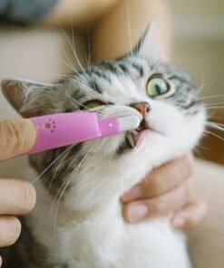 Cat Pet Finger Toothbrush
