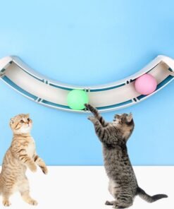 Cat Sucker Track Ball Cat Ball