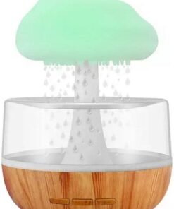 Cloud Rain Humidifier
