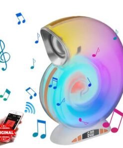 Conch Music Table Lamp