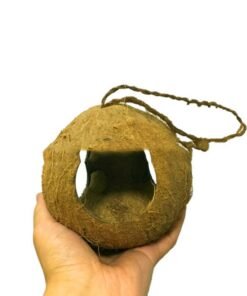 Creative Coconut Shell Bird Nest Feeder