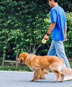 Dog Leash Retractable Pet Leash Reflective Rope