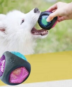 Dog Toy Ball
