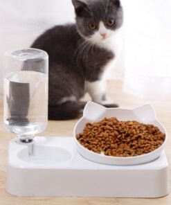 Double Bowl Automatic Drinking Bowl