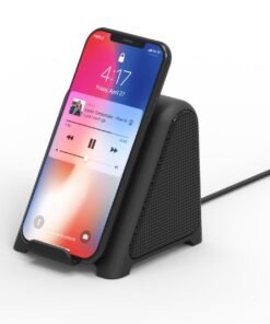 Double Speaker Subwoofer Small Speaker