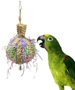 Drawing Straw Rope Toy Parrot Paper