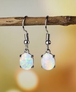 Ear Hook Earrings Eardrops Wedding Banquet Party Ear Rings