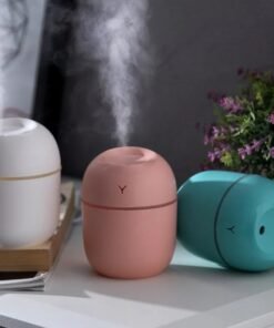 Egg Shaped Humidifier