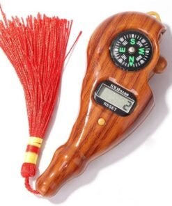 Electronic Counter with Compass