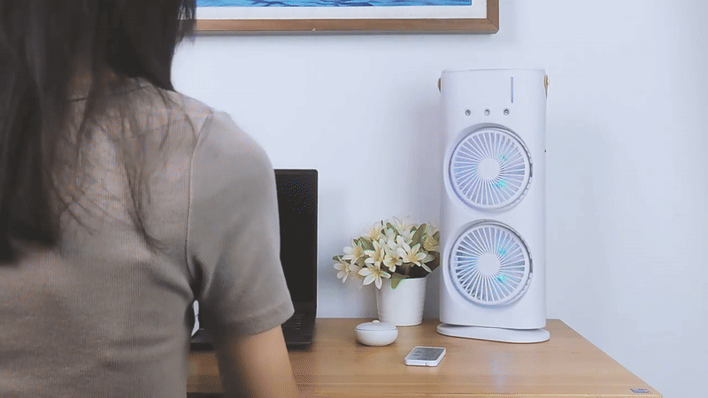 Double Ended Spray Fan - الصورة 6