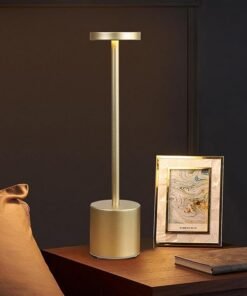 LED Desk Lamp