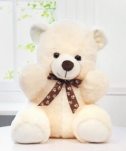 Love Combo Teddy Bear (40cm)