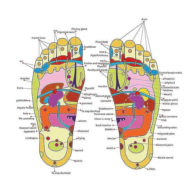 Natural Foot Slippers Massager - الصورة 4
