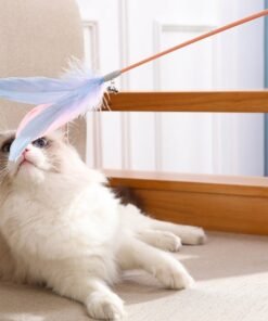 New Pet Cat Toy Products Feather Teasing Stick