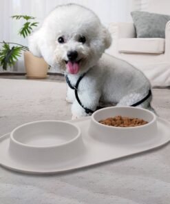 New Silicone Pet Feeding Bowl