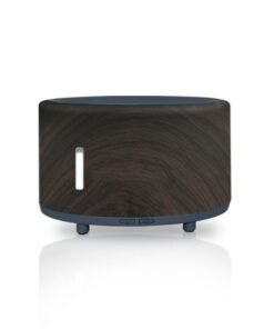 Outdoor Camping Bluetooth Music Flame Humidifier