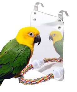 Parrot Toy Acrylic Bird With Mirror