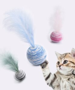 Pet Cat Toy Ball