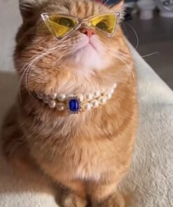 Pet Square Gem Collar Loves And Cats Photo