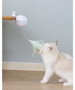 Pet Toy Ball