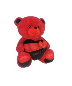 Teddy Bear for Valentine Day