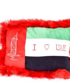 UAE Flag Pillow